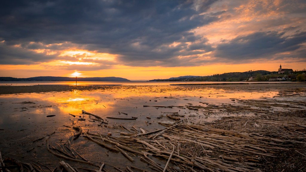 Sonnenuntergang am Bodensee, vorn am Ufer liegt angeschwemmtes Holz, rechts ist das Kloster Birnau zu erkennen.
