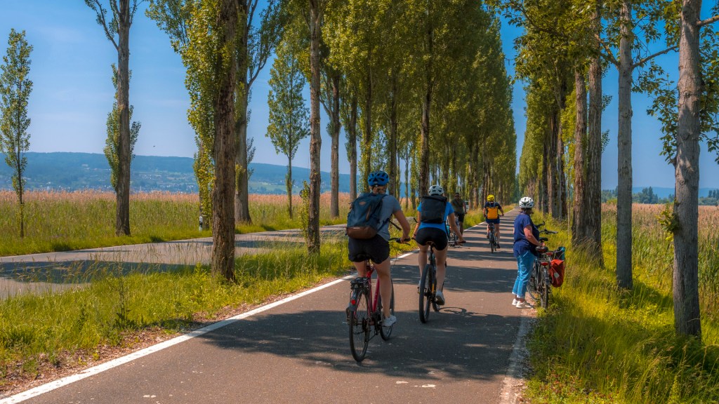 Allee zur Insel Recihenau mit Radfahrern