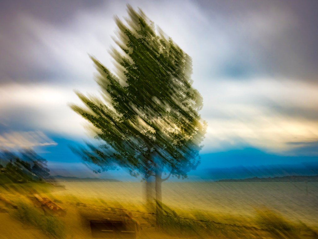 Bodenseeufer mit Baum mit ICM aufgenommen und farblich verfremdet