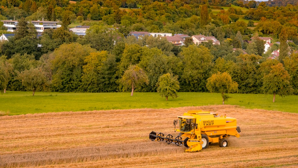 Mähdrescher erntet ein Feld