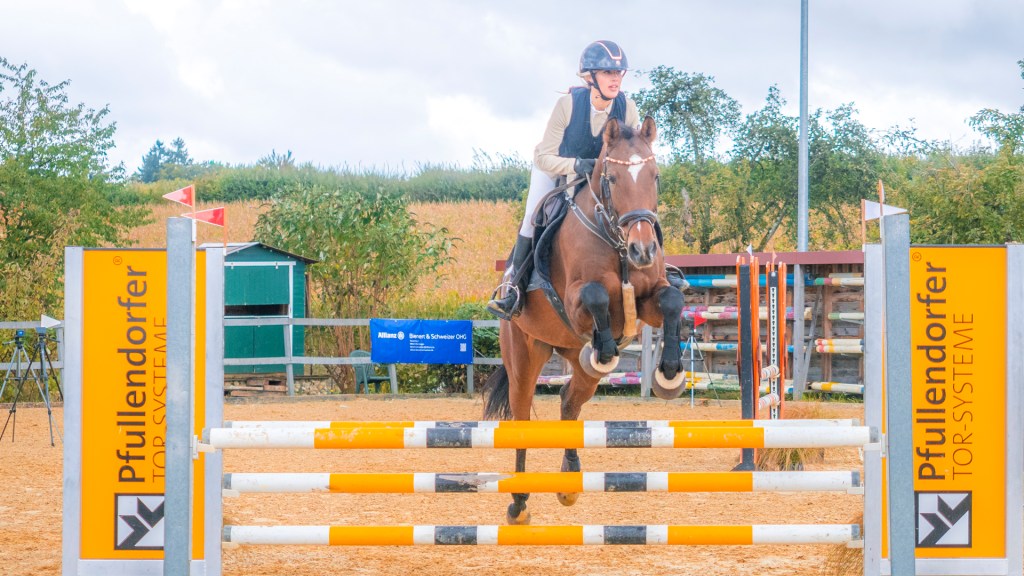 Reitturnier in Überlingen. Pferd mit Reiterin springt über einen Oxer.