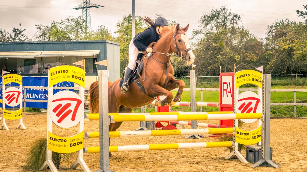 Reitturnier in Überlingen. Pferd mit Reiterin springt über einen Oxer.