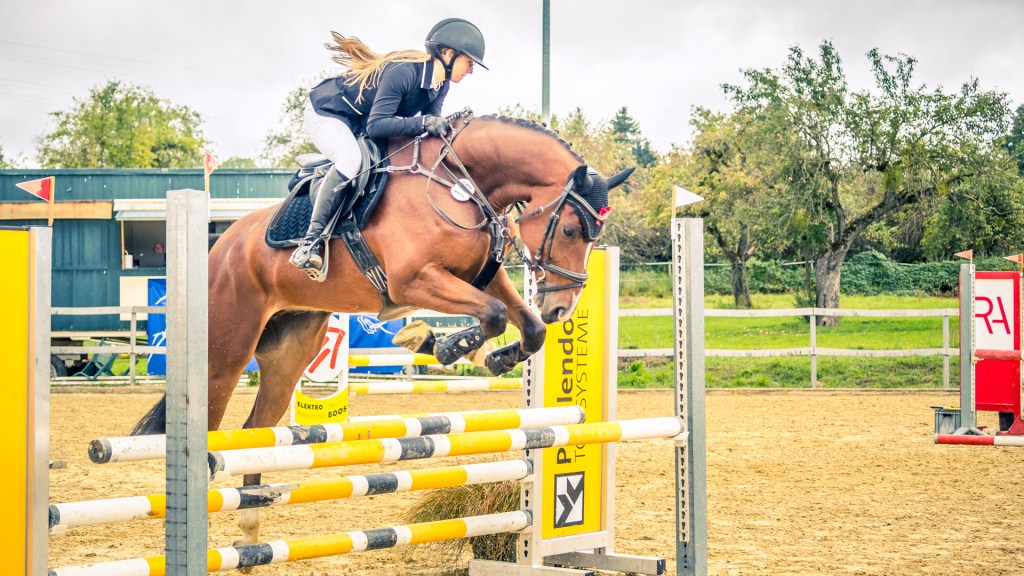 Reitturnier in Überlingen. Pferd mit Reiterin springt über einen Oxer.