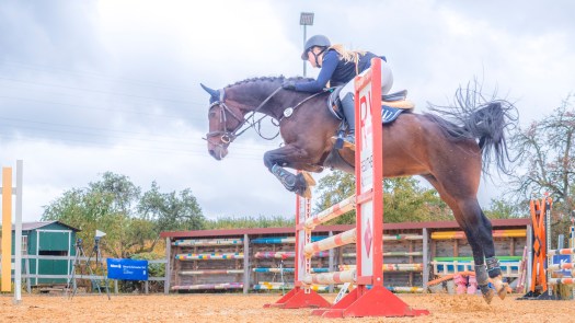 Reitturnier in Überlingen. Pferd mit Reiterin springt über einen Oxer.