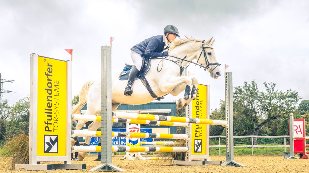 Reitturnier in Überlingen. Pferd mit Reiter springt über einen Oxer.