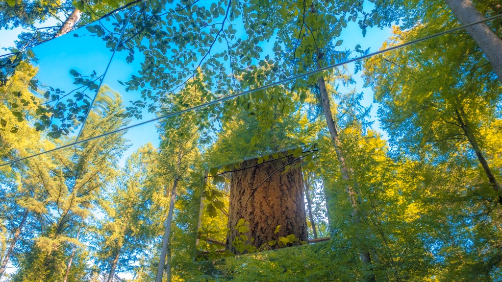 Blick in den Wald, der sich in einer Spiegelfäche spiegelt. Mittendrin ein Loch mit Blick auf einen echten Baum.