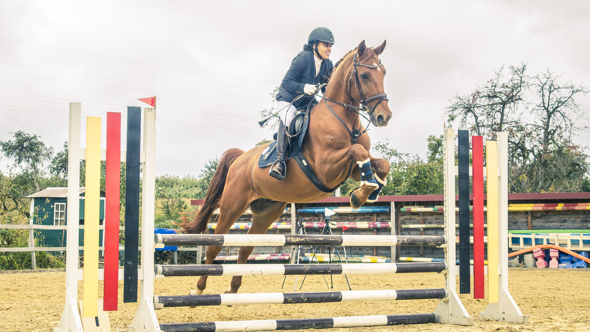 Reitturnier in Überlingen. Pferd mit Reiterin springt über einen Oxer.