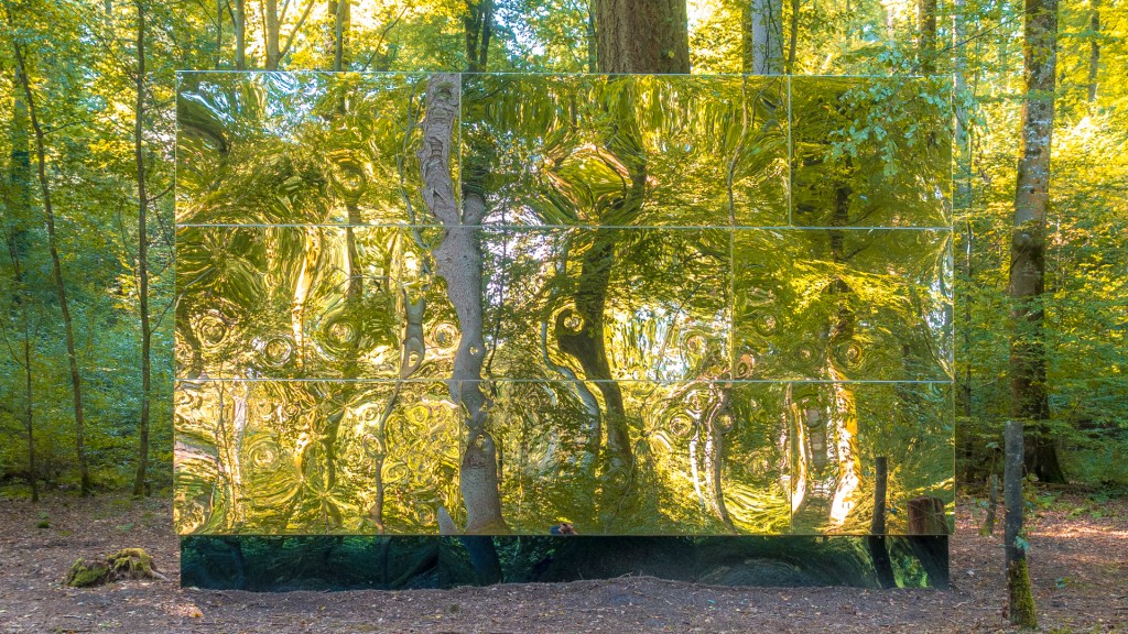 Ein spiegelnder Kubus steht im Wald und zeigt sein Umfeld