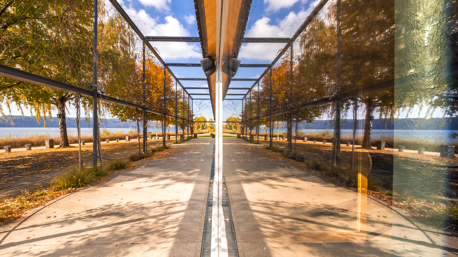 In einer Scheibe spiegeln sich Herbstbäume und der Bodensee