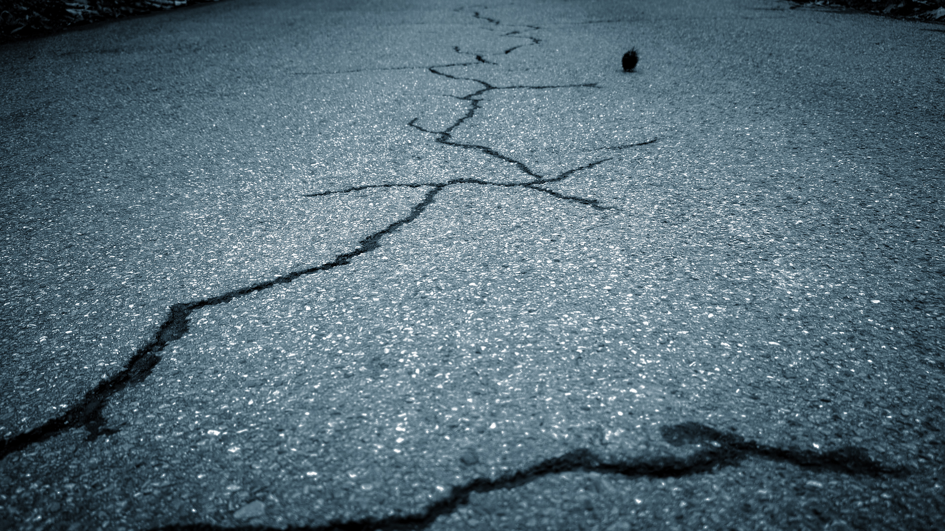 Aufnahme einer Straße mit Rissen im Asphalt