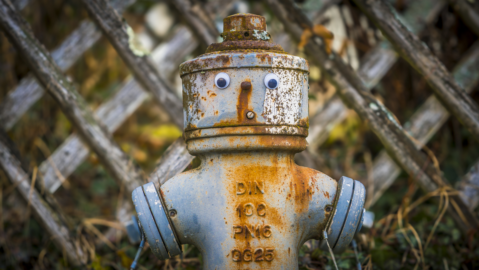 Ein leicht angerosteter Überflurhydrant vor einem Gartenzaun. Im oberen Bereich wurden ihm 2 Kulleraugen aufgeklebt.