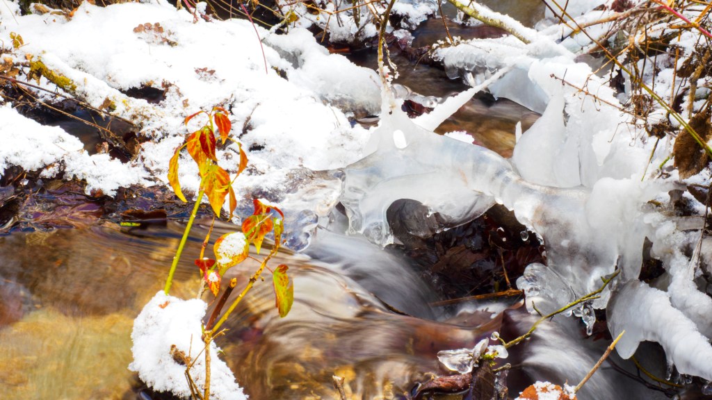Ein kleiner Bach mit Eisgebilden