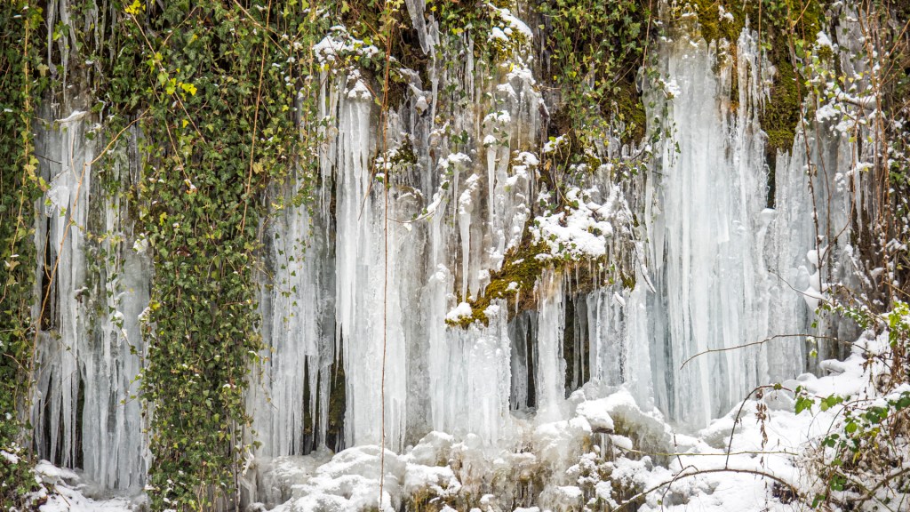 Eiszapfen an einer begrünten Wand