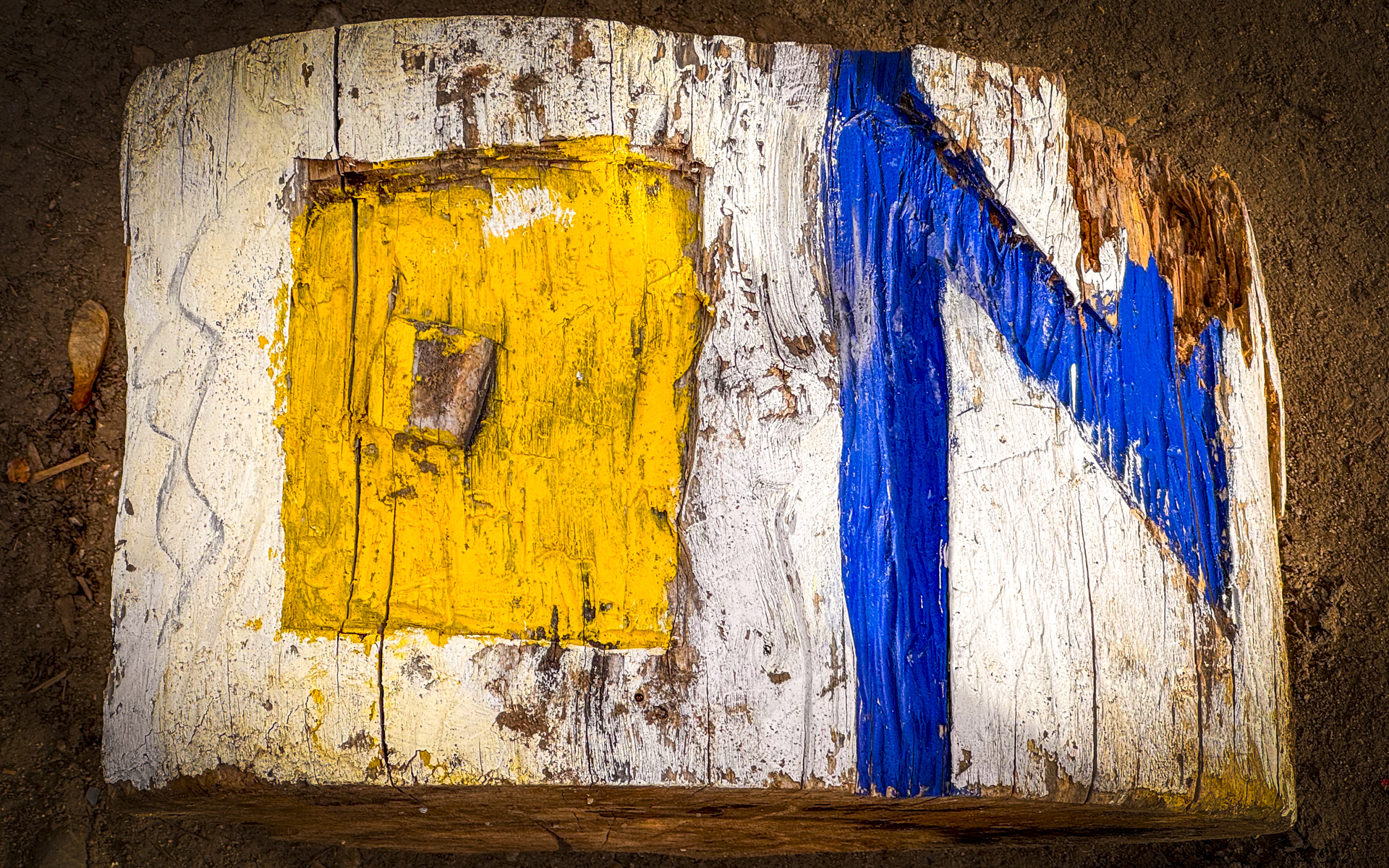 Ein Holzblick mit weißer Rinde, auf das ein gelbes Viereck und ein verstümmeltes blauser N zu sehen sind.