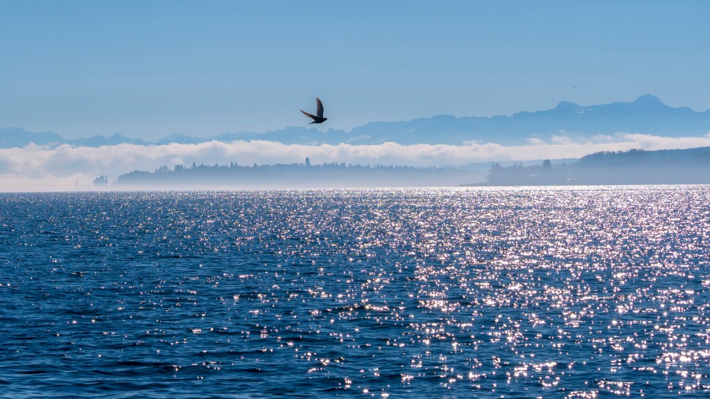 Blcik über den Bodensee Richtung Mainau und Alpen