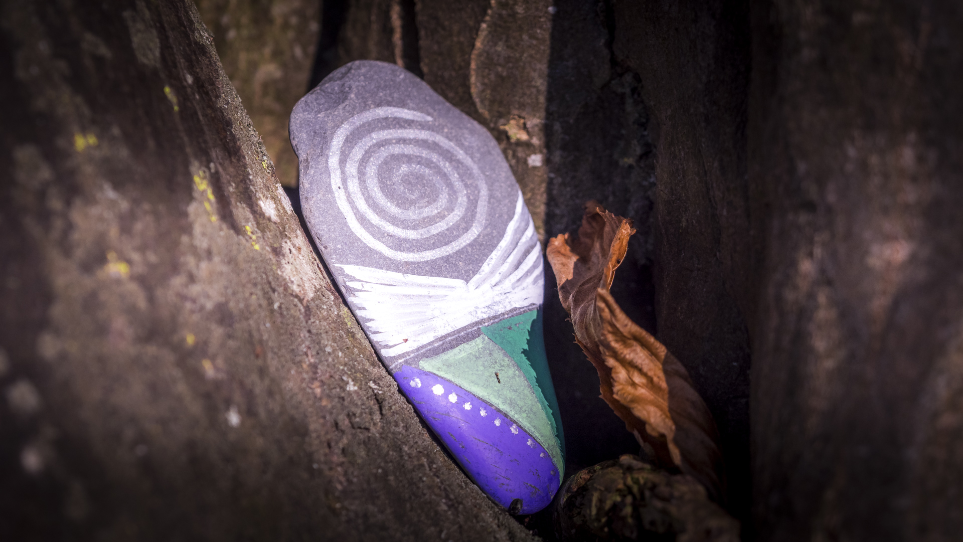 Ein kleiner bemalter Stein in Form eines Surfbrettes in einer Astkuhle