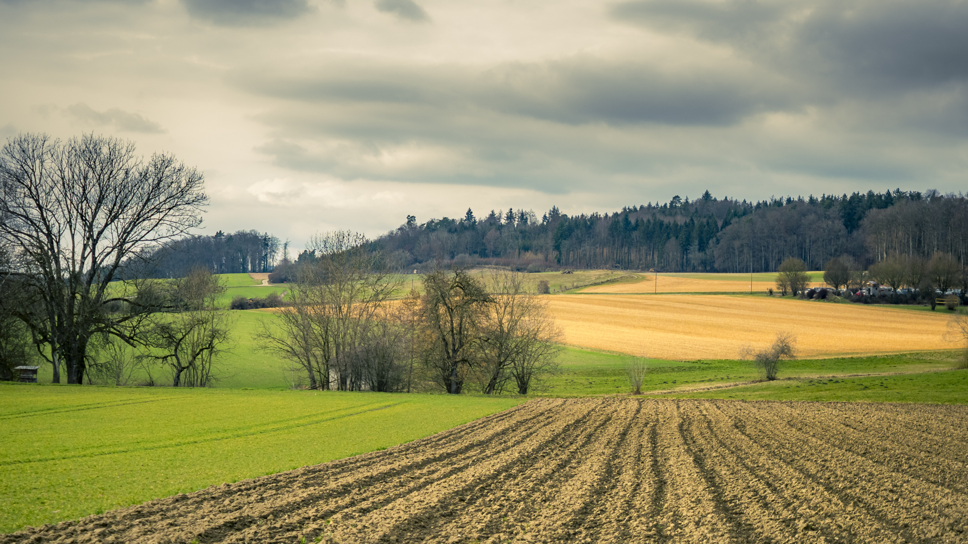 Ein Landschaftsfoto mit Acker, Wiesen und Bäumen