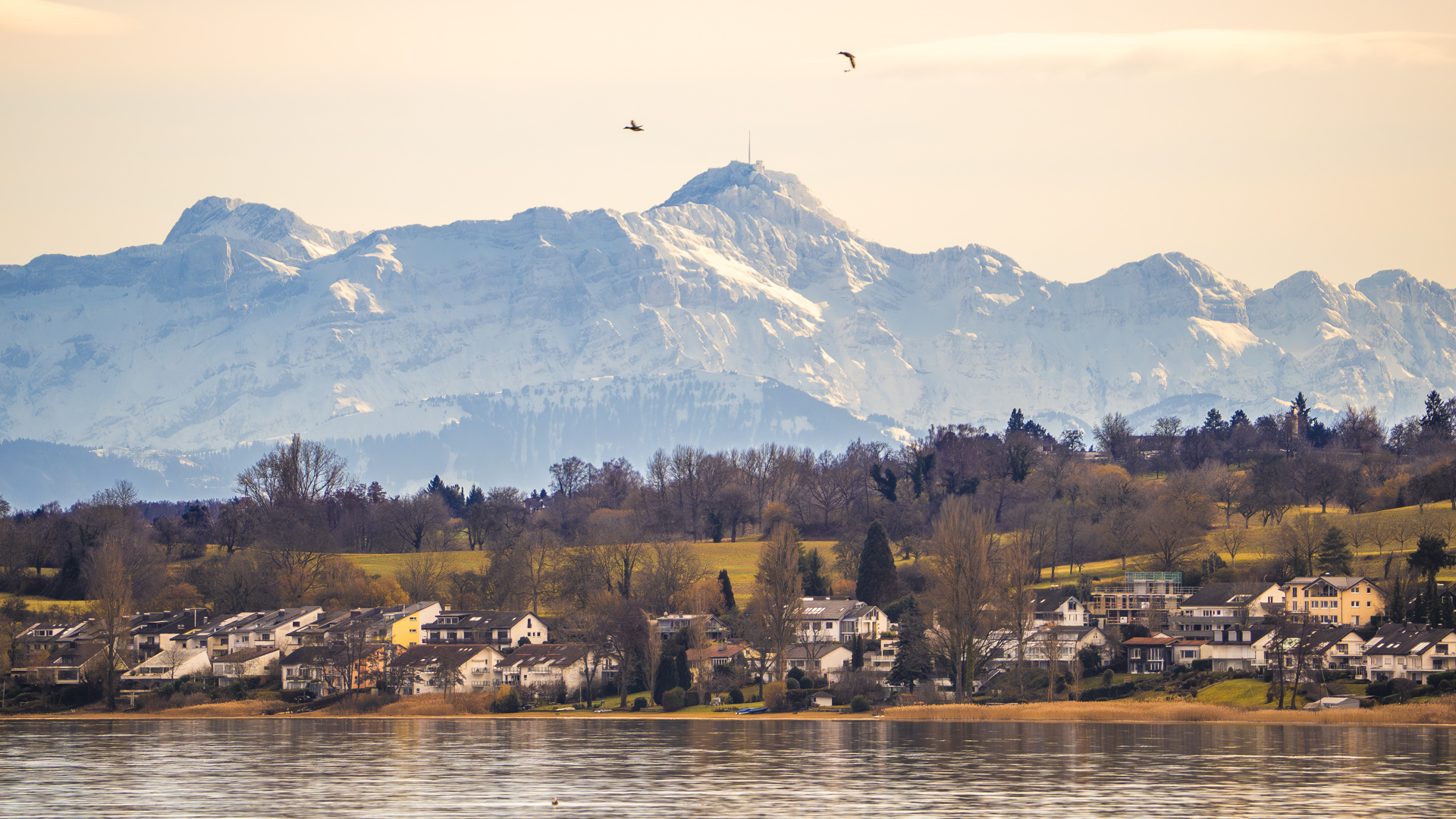 Blick über den Bodensee auf Wallhausen, im Hintergrund erhebt sich der Säntis