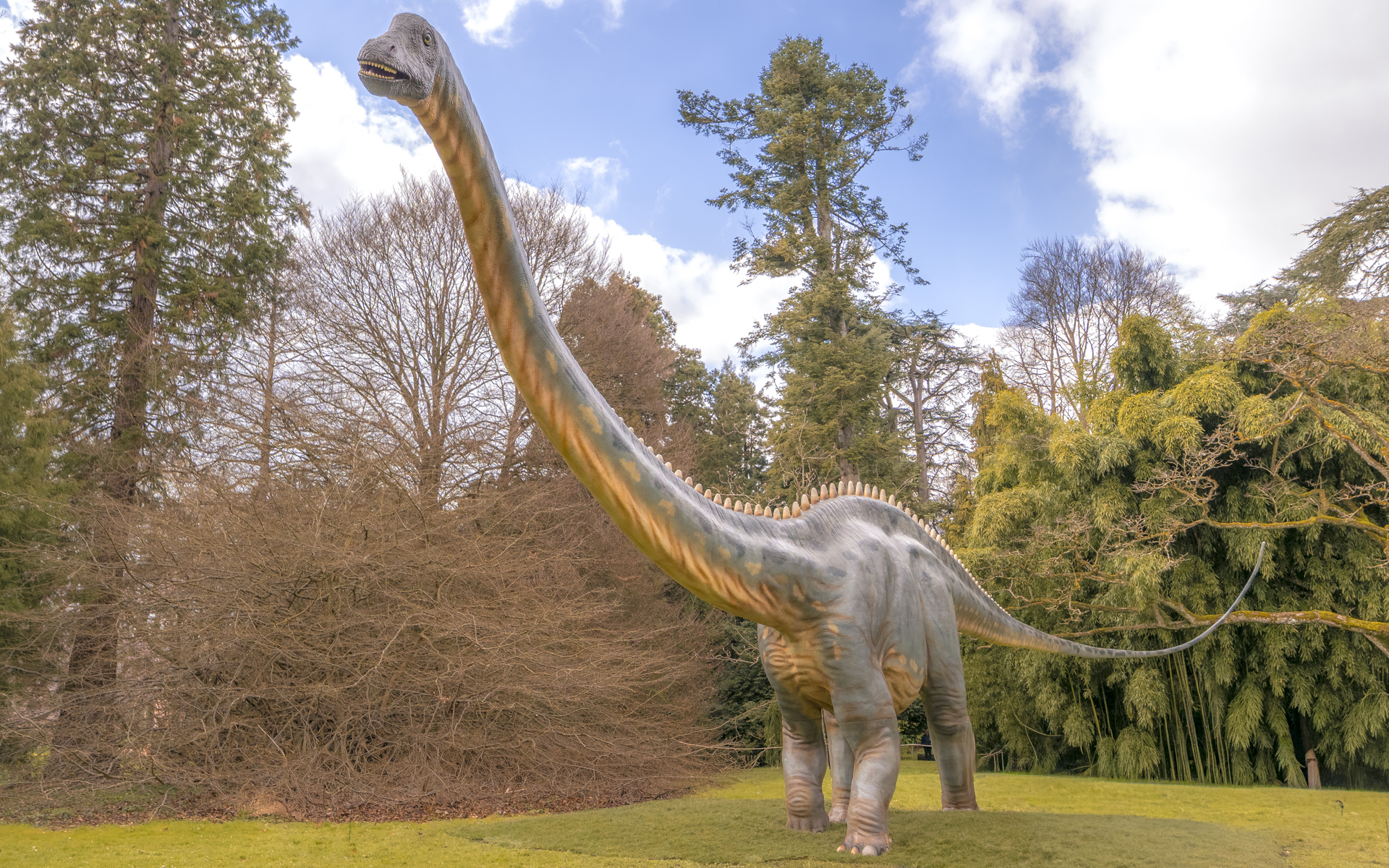 Ein Diplodocus auf der Insel Mainau