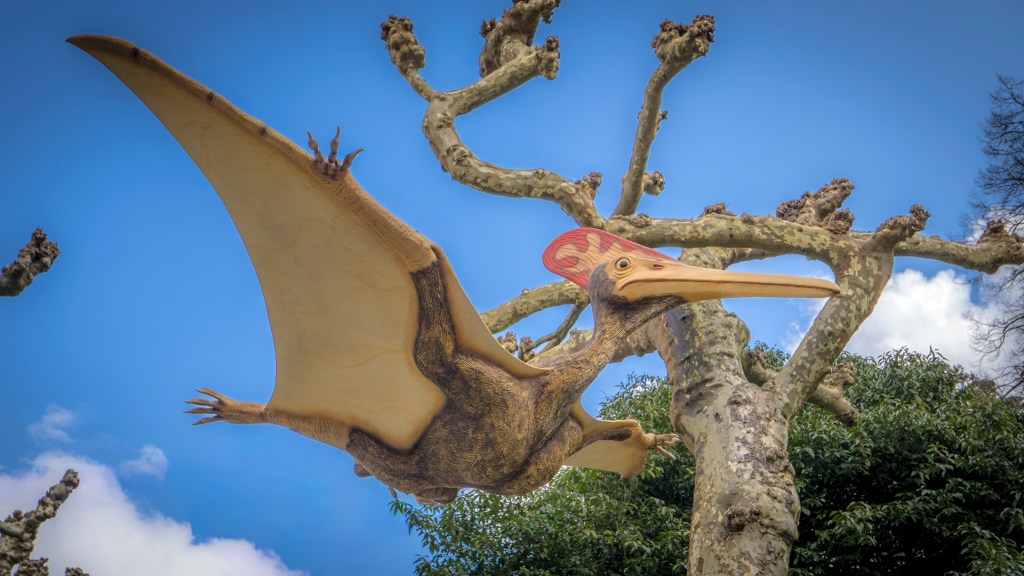 Ein Pterodactylus auf der Insel Mainau