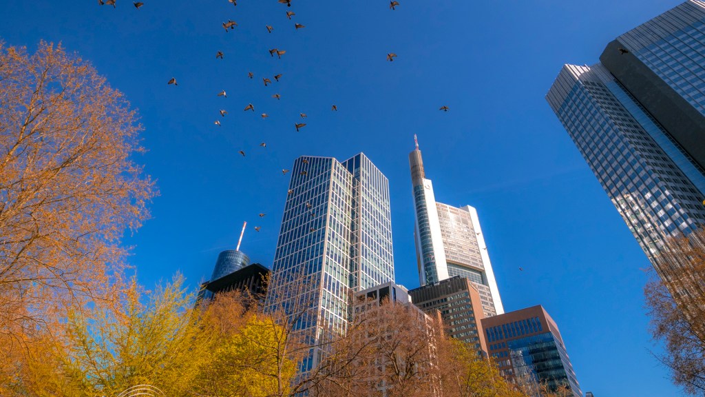 Hochhäuser in Frankfurt am Main