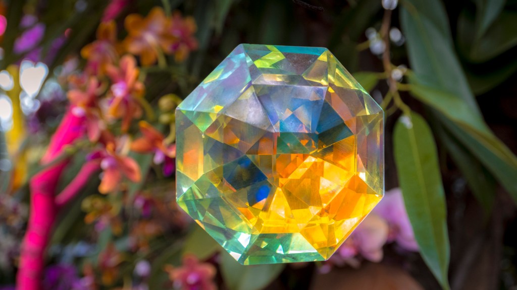 Orchideenschau auf der Insel Mainau - Ein Kristall in dem sich die Farben brechen