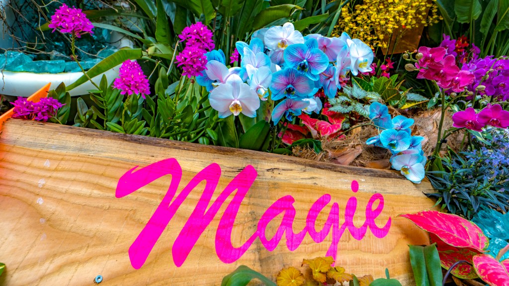 Orchideenschau auf der Insel Mainau - Orchideen und ein Holzschild mit der rosa Aufschrift "Magie"