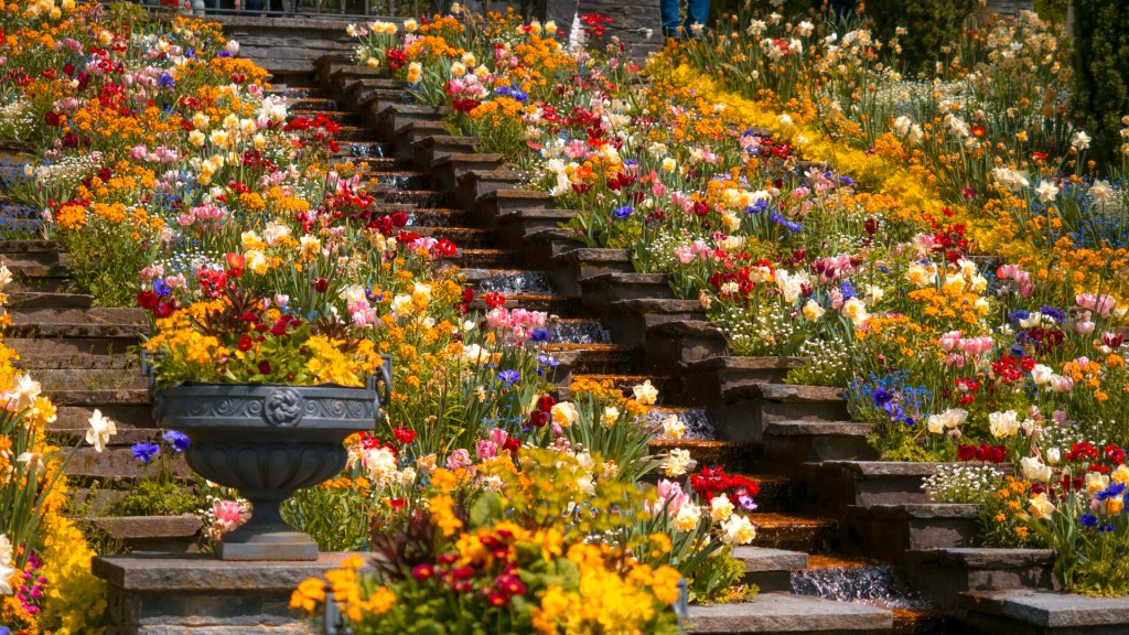 Die italienische Blumentreppe auf der Insel Mainau, bepflanzt mit vielen Blumen