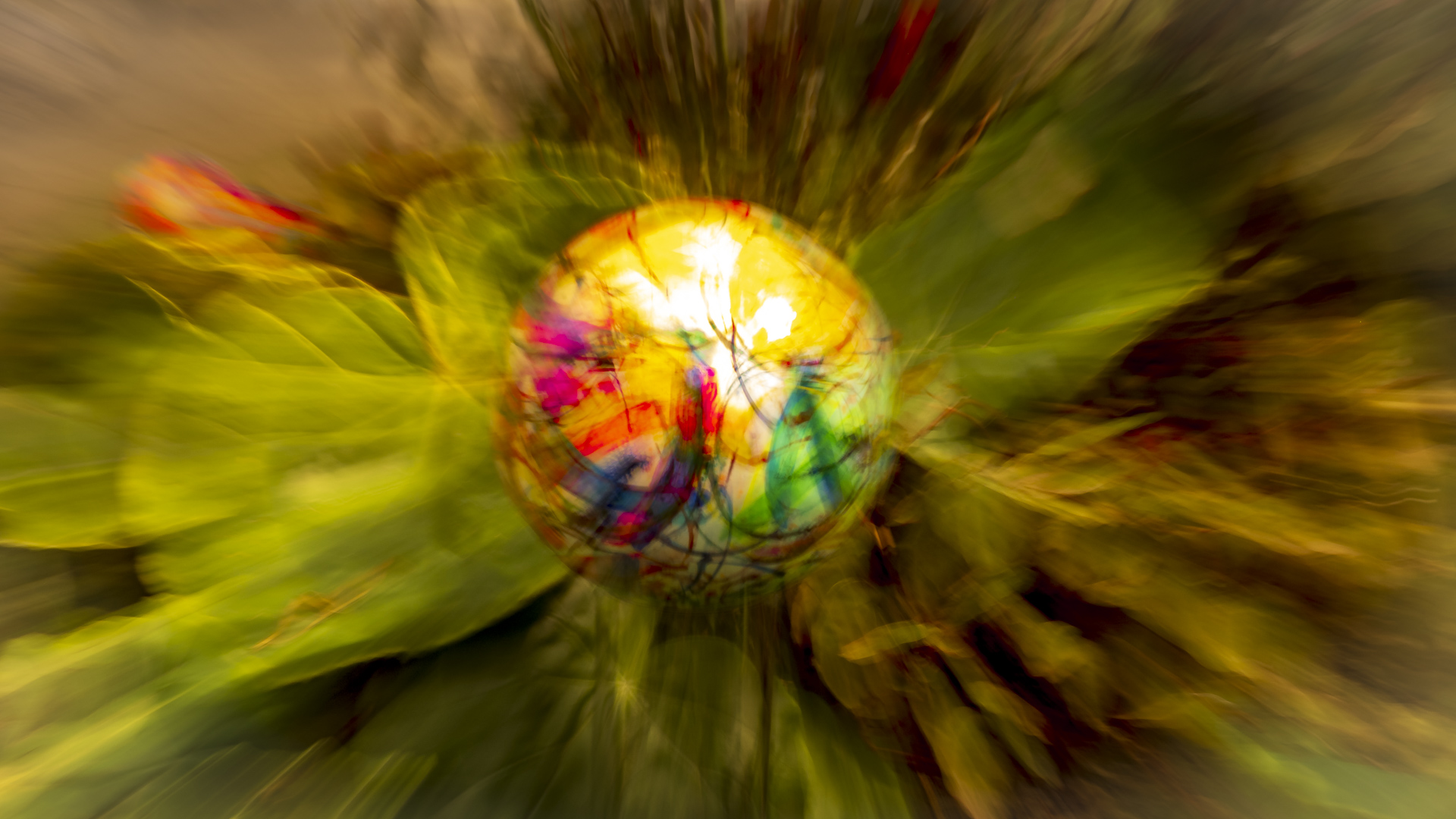 Ausstellung "Paradiso" von Annette Grunert im Palmenhaus in Konstanz