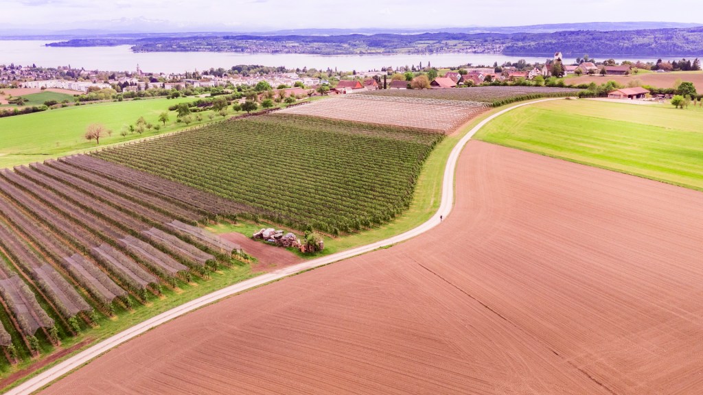 Blick mit der Drohne über Apfelplantagen bis hinunter zum Bodensee bei Überlingen