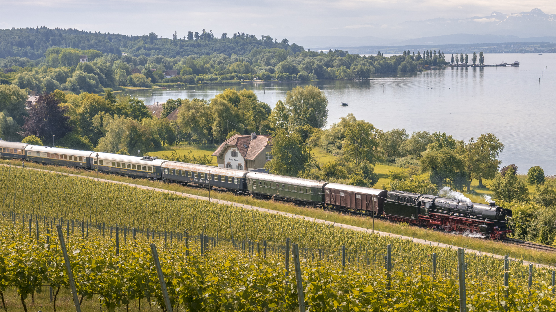 Sonderzug der "Belletrains" von der Birnau aus gesehen. Vorbeifahrt am alten Bahnhof Birnau-Maurach. Als Zuglok fungiert die 01 1104