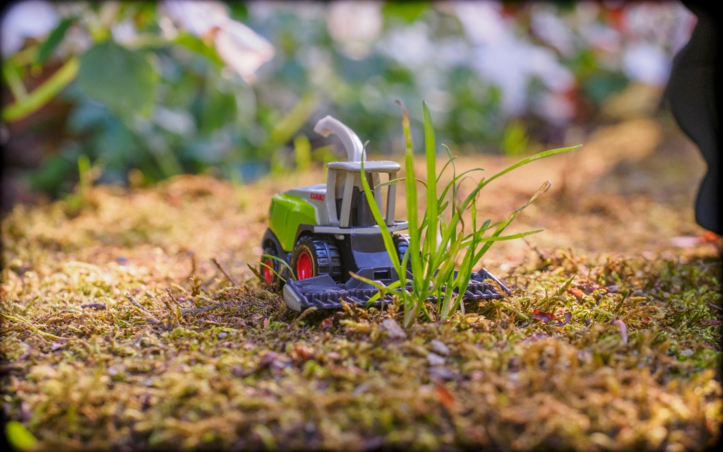 Ein kleiner Modellmähdrescher steht auf Moos und hat vor sich ein Büschel Gras