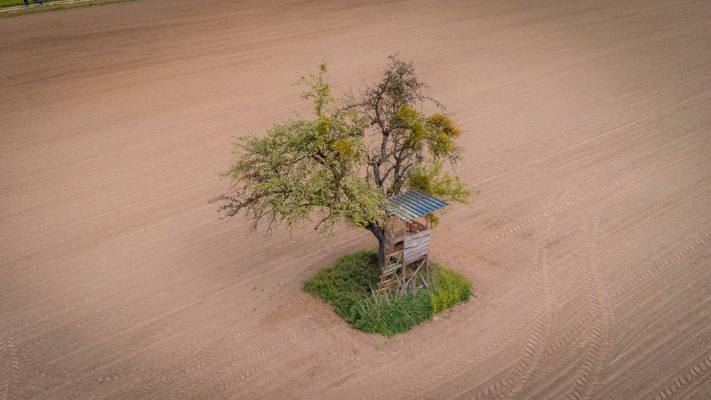 Ansitz auf einem Feld