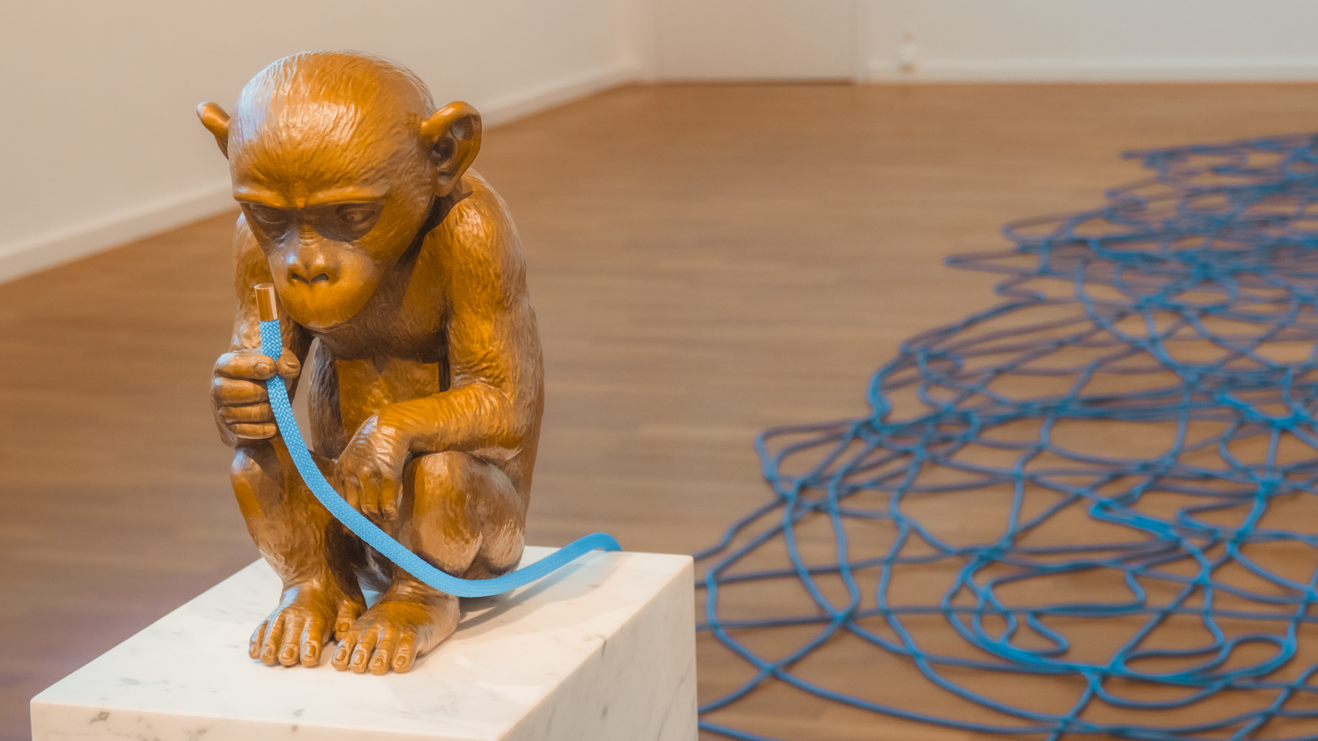 Das Kunstwerk "20mm" des Künstlers Olaf Breuning im Museum zu Allerheiligen in Schaffhausen.