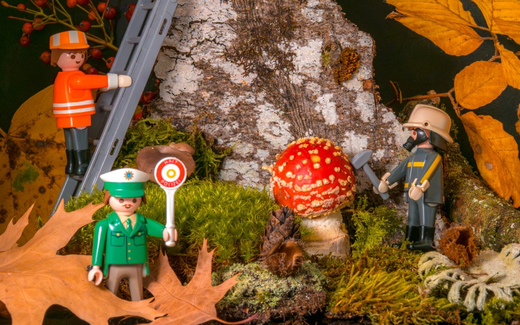 Playmobilfiguren in einem Natursetting um einen Fliegenpilz