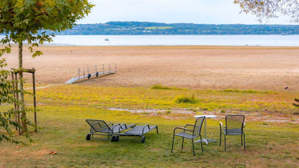 Ufer des Bodensees bei Niedrigwasser