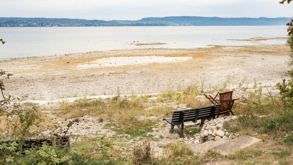 Ufer des Bodensees bei Niedrigwasser